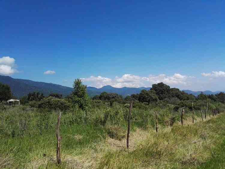 terreno en venta paseo del aguila poniente la mesa el fresnito zapotlan el grande jalisco pRvEBtJ